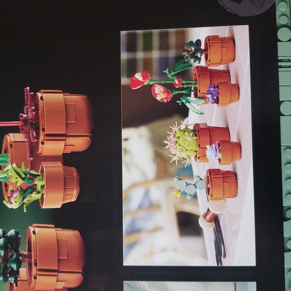 LEGO Icons Tiny Plants Building Set for Flower-Lovers - Picture 13 of 16